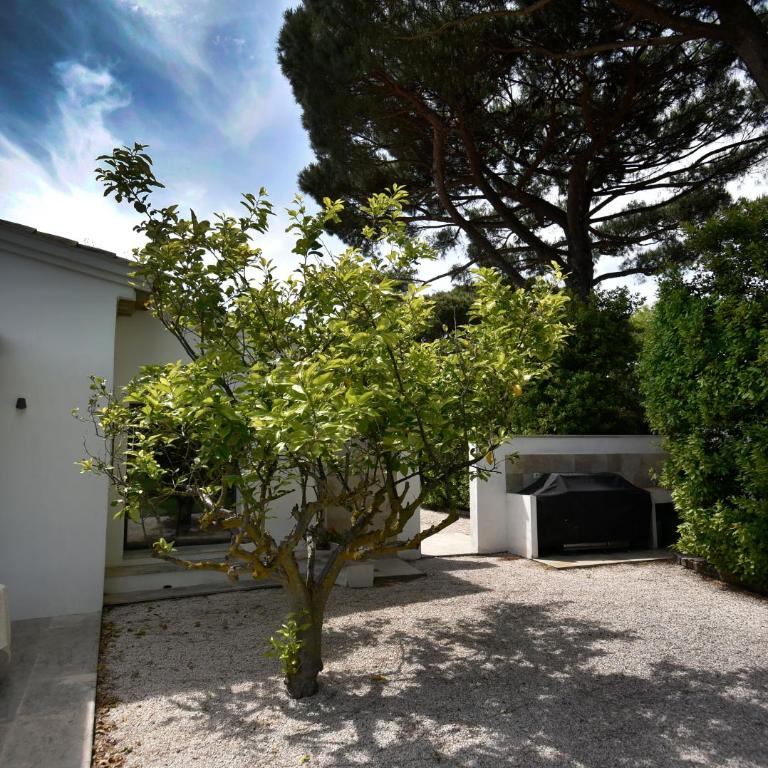 Villa Bacchus Ramatuelle, piscine, plage 800m! - Villa - 29