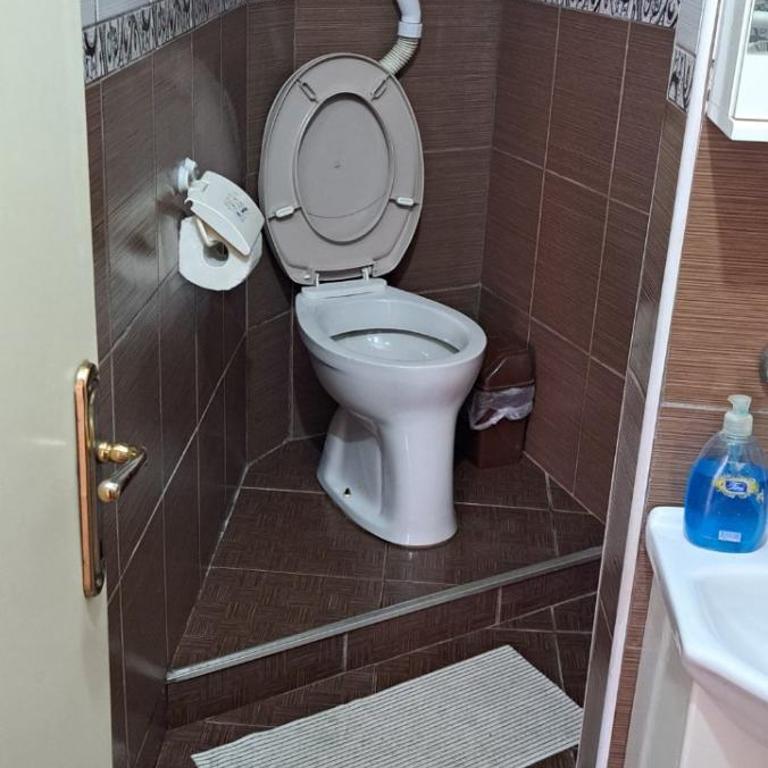 Apartman Soko Merak - Apartman sa 1 Spavaćom Sobom - 11