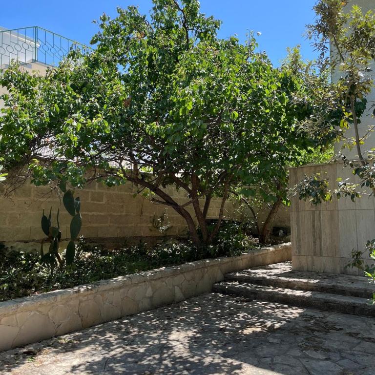 Villa Stella, Salento, 7 posti letto - Casa con 3 Camere da Letto - 23