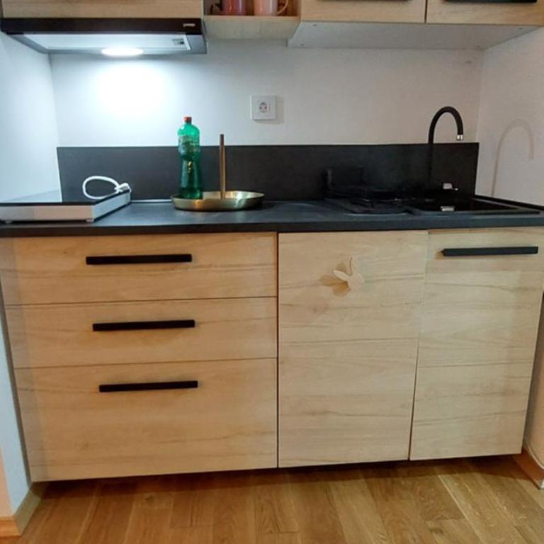 Pink Elephant - One-Bedroom Apartment - 7