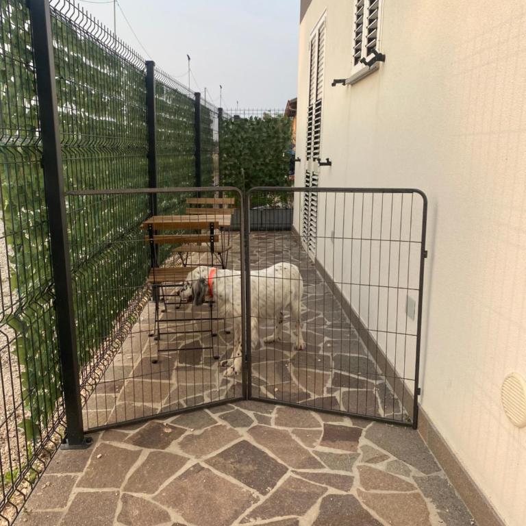 Villa Popilia Sea & Business Red - Appartamento con 1 Camera da Letto - 2