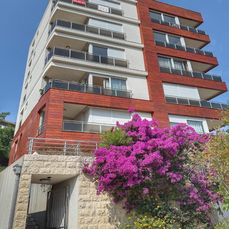 Jelena apart Budva - One-Bedroom Apartment - 10