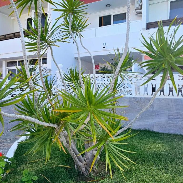 HDFM Collection - Royal Marine Villa - Casa de 2 dormitorios - 31