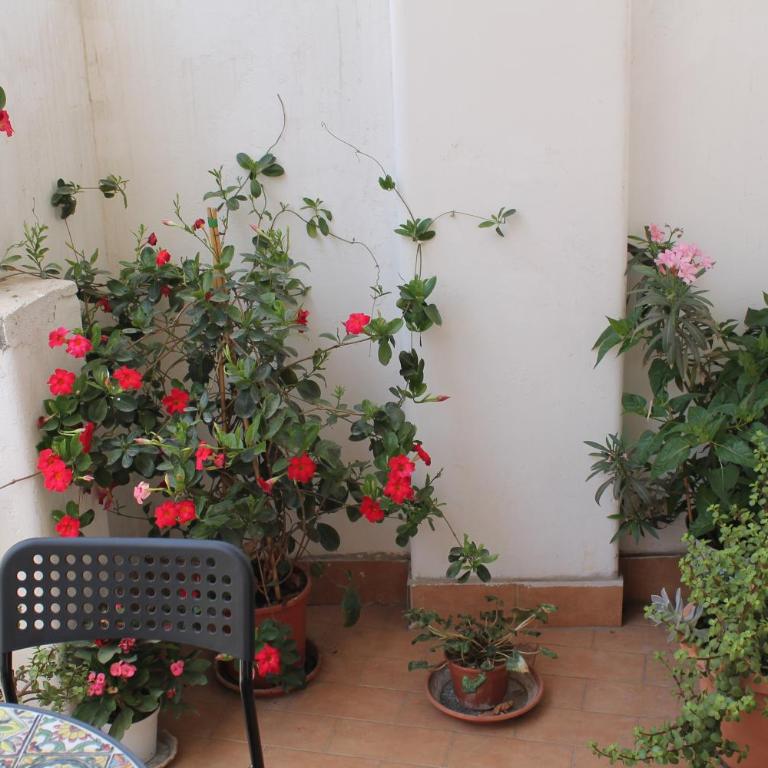 B&B Domus Pina - Twin Room - 5