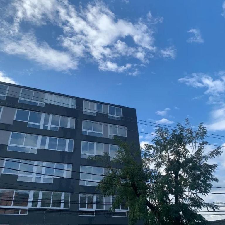 Estudio moderno 502 - Apartamento de 1 dormitorio - 2