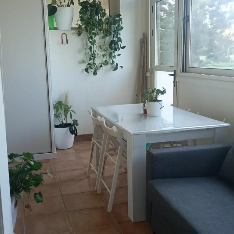 Ap-to Frente al Mar VillaRomana - Apartment with Garden View - 5