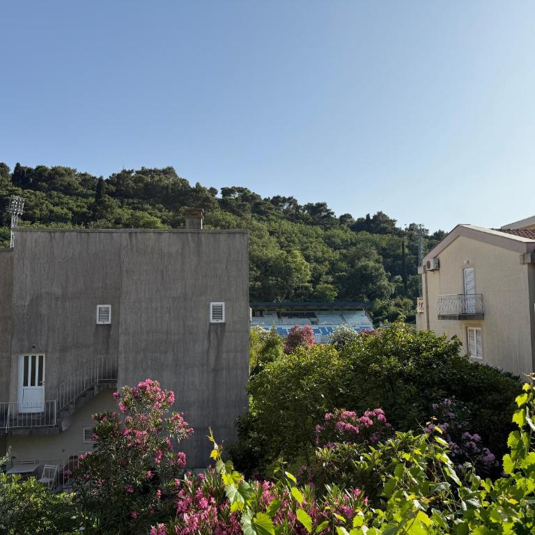 Apartmani Mareta - Studio with Garden View - 16