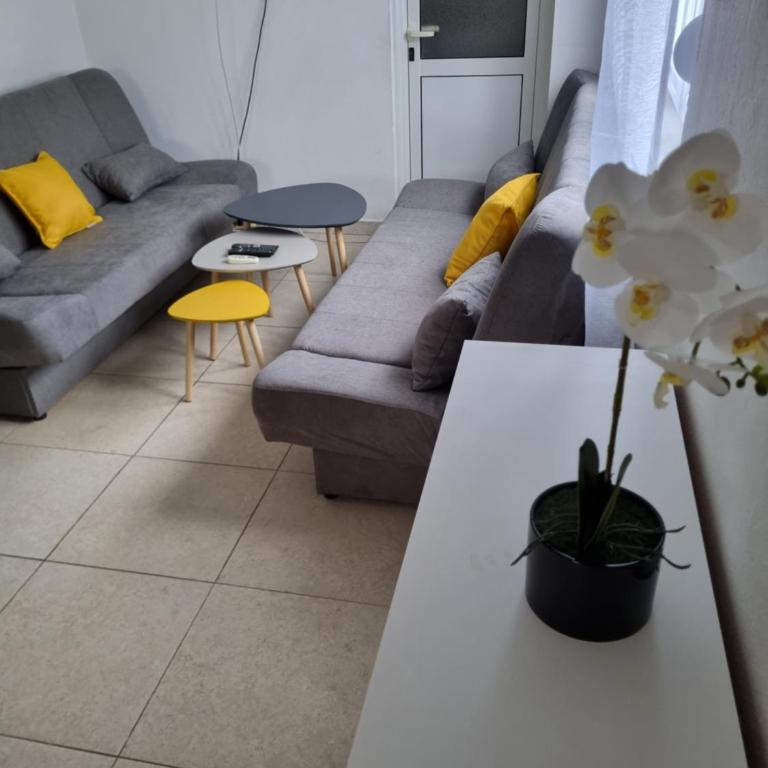 Apartman-Studio 5 Matanović- Save Kovačevića - One-Bedroom Apartment - 1