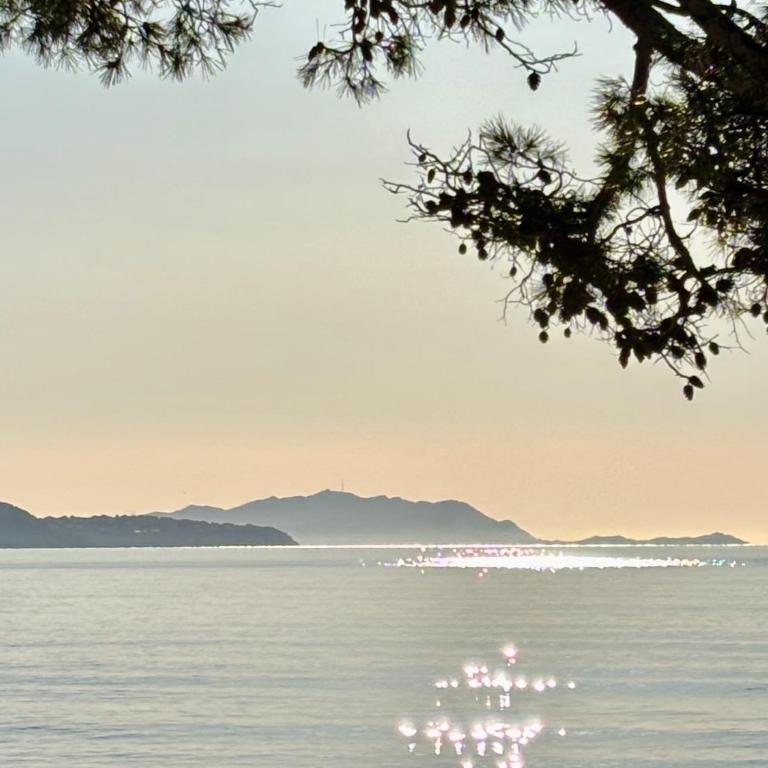 Canolle La Ciotat climatisé 5pers 4 lits à 1mn du Vieux-Port à pieds - Apartment mit 2 Schlafzimmern - 16