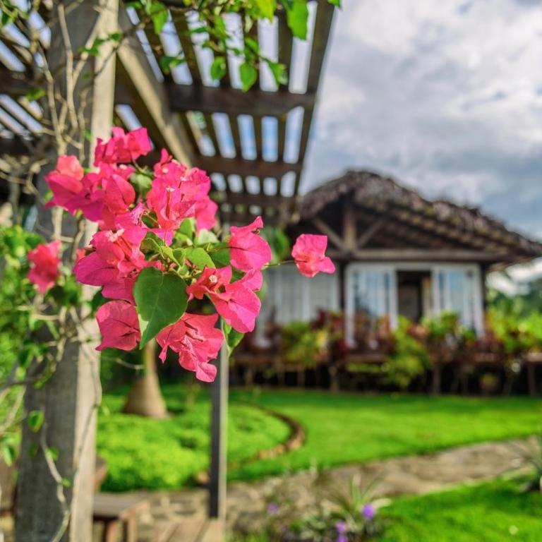 El Resort de Yanashpa - Tarapoto - Three-Bedroom Villa - 5