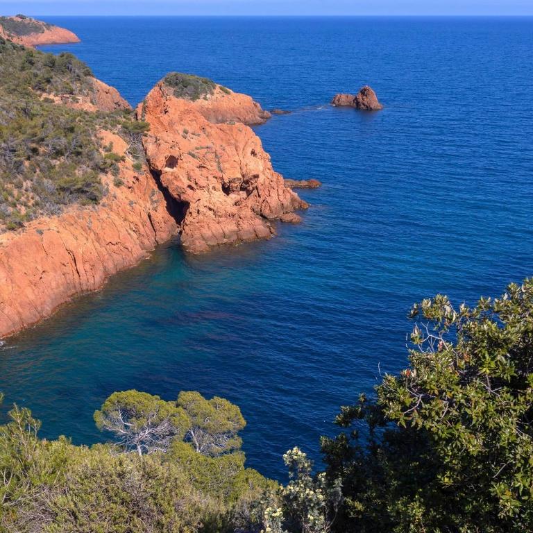 La Méditerranée comme vous l'aviez rêvée - Apartamento de 1 dormitorio - 15