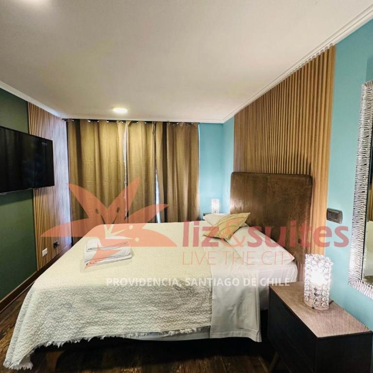 Fully equipped in Providencia - Apartamento de 1 dormitorio - 8