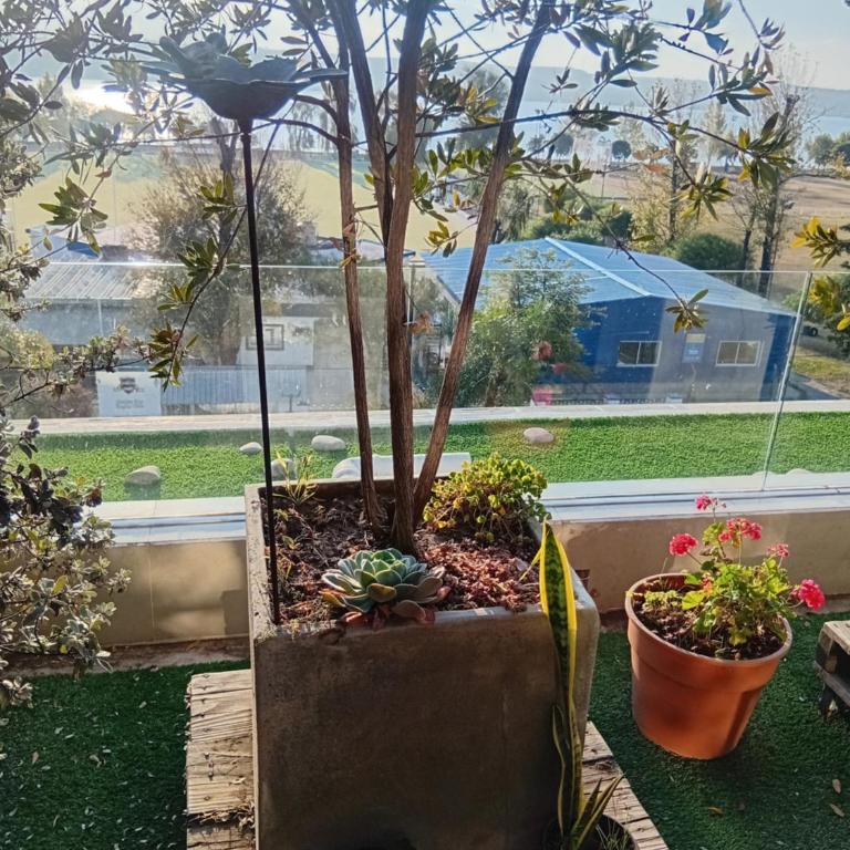 Departamento Brisas del Lago - Apartamento de 2 dormitorios - 36