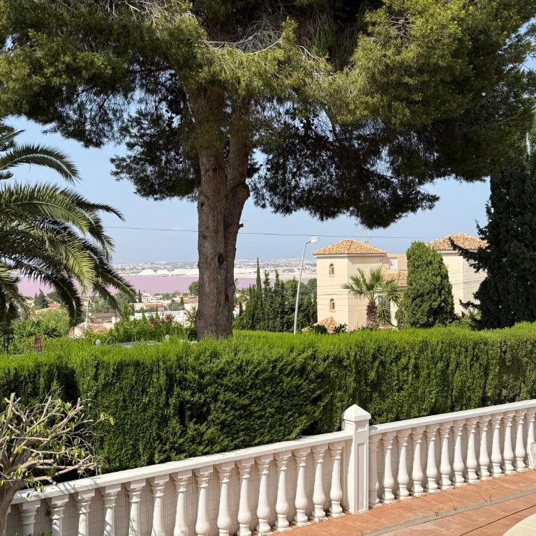 Villa Luxury vista a Laguna Rosa de Torrevieja - Villa - 1