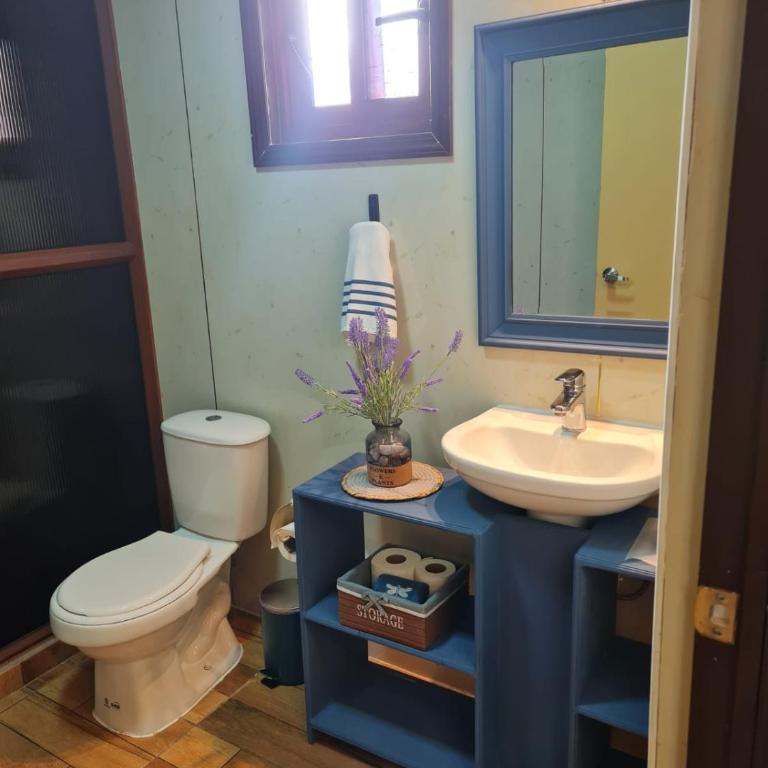 Cabaña Belén - descanso campestre a 15 min de Chillán, ideal para familias y amigos - Casa de 2 dormitorios - 19