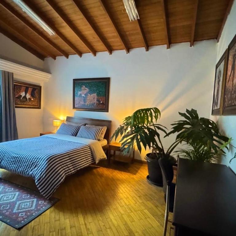 Casa ROMERO EN FLOR - Habitación Deluxe - 4