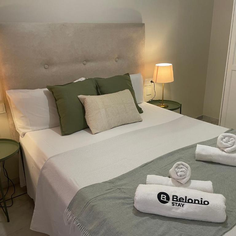 Miguel Bueno Apartment City Center by Stay Belonio - Apartamento - 19