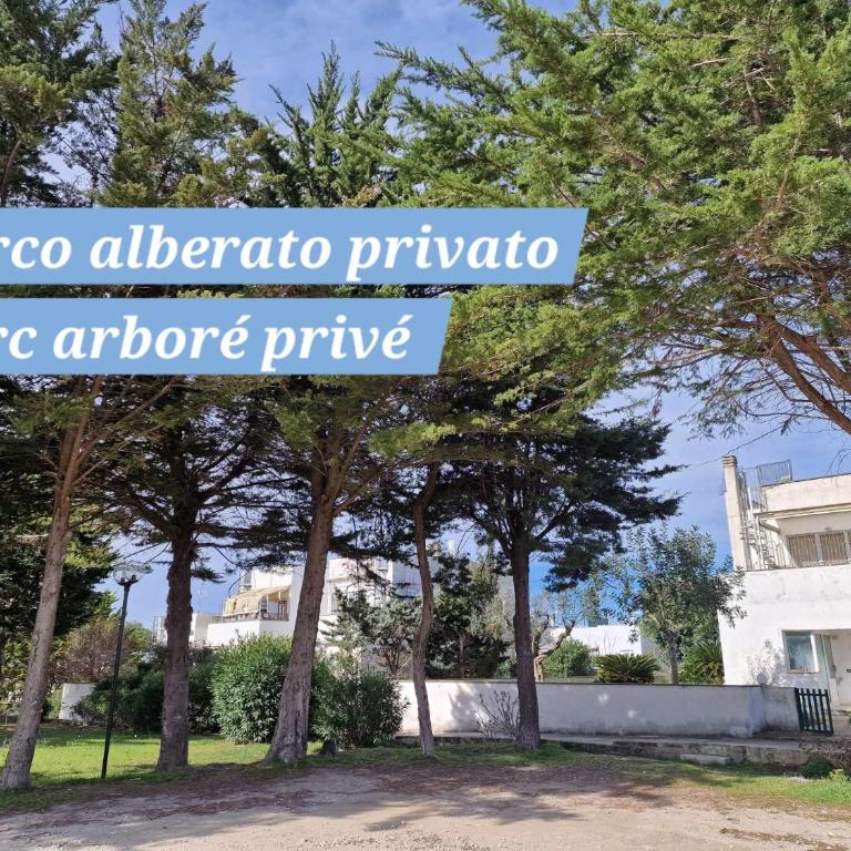 Otrantino - Two-Bedroom Apartment - 13