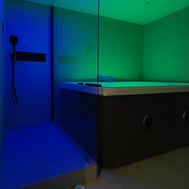Le Ptit Saint Florent - Studio Indépendant & Spa - Appartamento con 1 Camera da Letto - 4