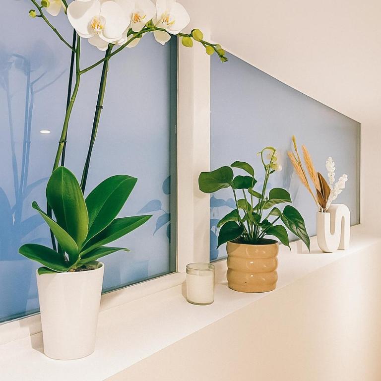 Le Ptit Saint Florent - Studio Indépendant & Spa - Appartamento con 1 Camera da Letto - 9