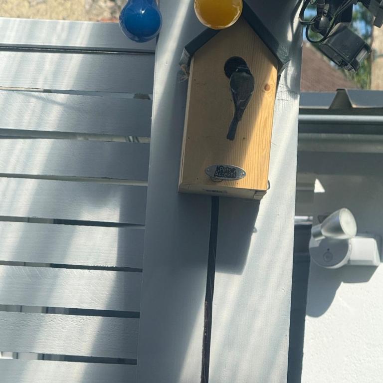 Maisonnette avec Jardin, Piscine, Netflix - Chalet 1 Chambre - 19