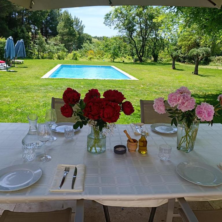 Ville au calme en Provence, piscine privée, spa jeux, proche Ventoux - Villa - 1