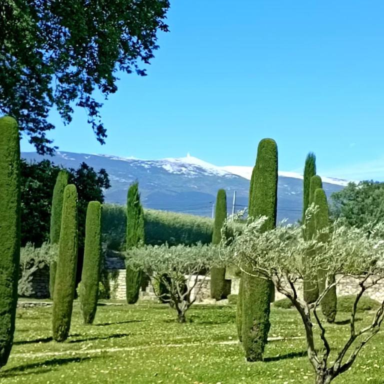Ville au calme en Provence, piscine privée, spa jeux, proche Ventoux - Villa - 29