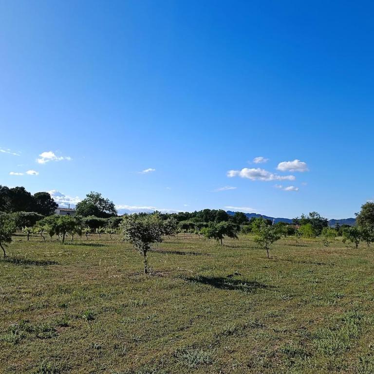 Ville au calme en Provence, piscine privée, spa jeux, proche Ventoux - Villa - 36