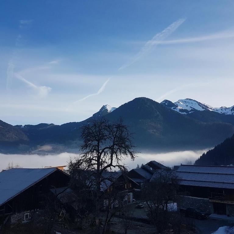 Comfort and nature - Ideal stay 200m from slopes - Appartement 2 Chambres - 18