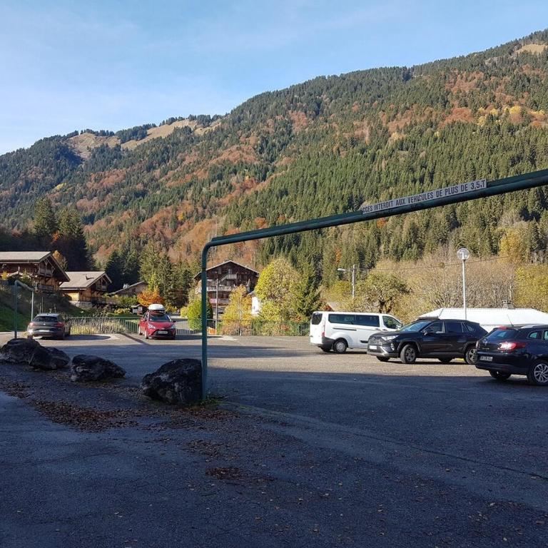 Comfort and nature - Ideal stay 200m from slopes - Appartement 2 Chambres - 17
