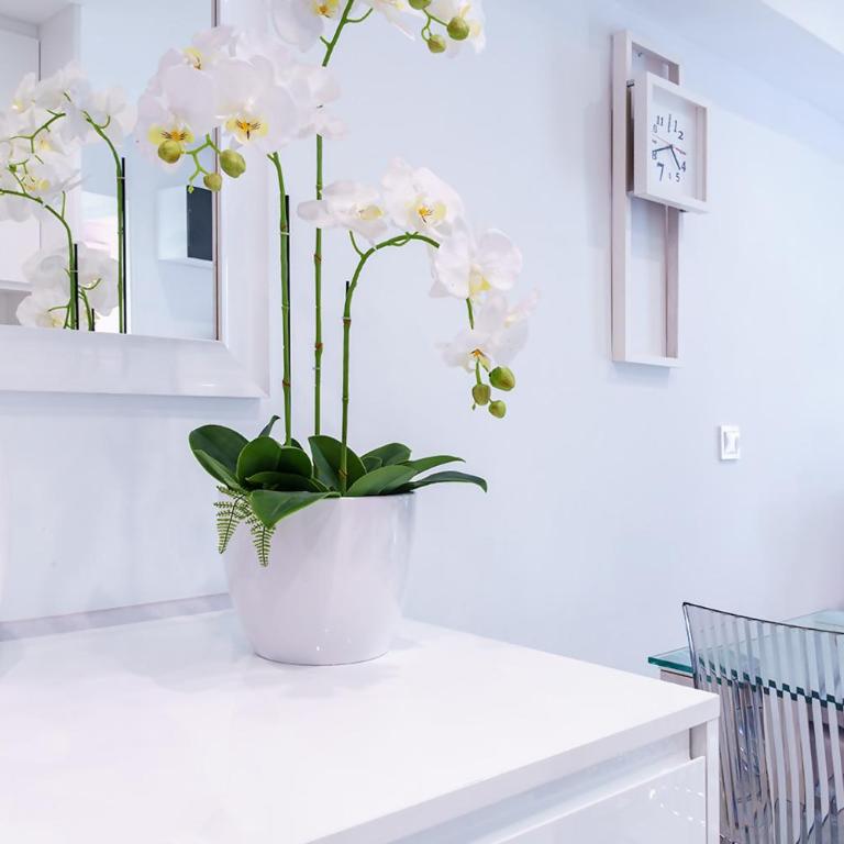 Apartamento Edificio Astoria - Two-Bedroom Apartment - 17