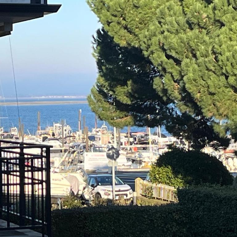 Charmant T3 à Arcachon avec terrasse et parking sécurisé - FR-1-374-233 - Appartamento - 5