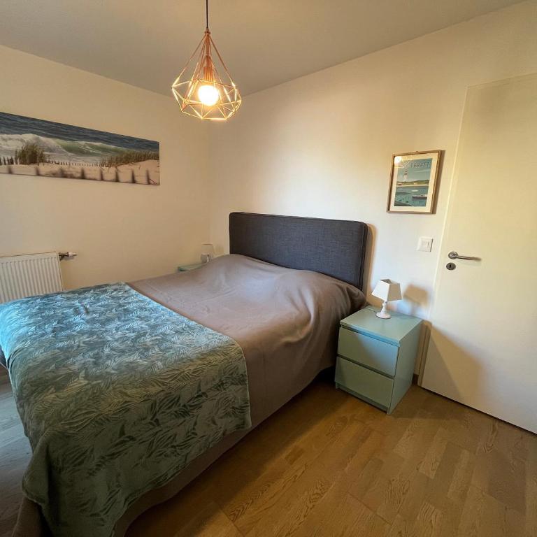 Charmant T3 à Arcachon avec terrasse et parking sécurisé - FR-1-374-233 - Appartamento - 14
