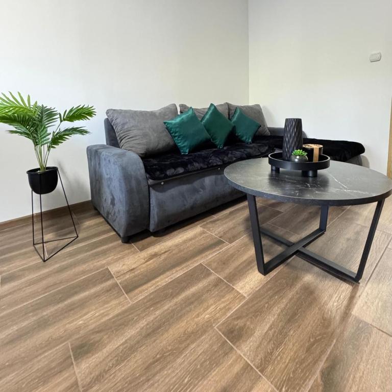 Apartmani Popivoda - Apartman - Prizemlje - 11