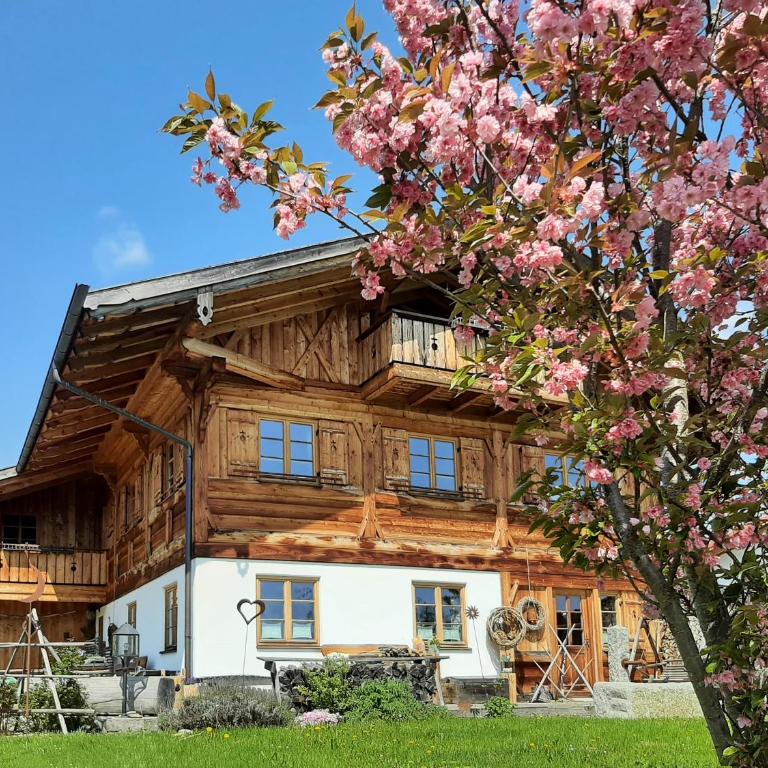 Ferienwohnung Allgäutraum mit Bergblick - Apartment mit 1 Schlafzimmer, Balkon und Bergblick - 1