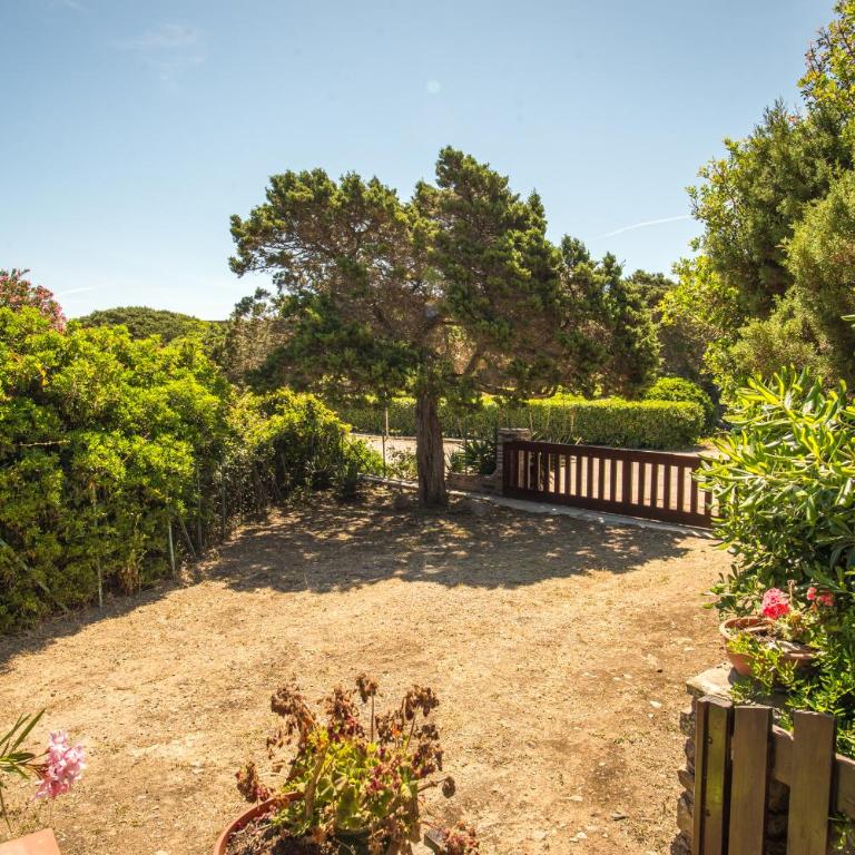 Casa Vacanze Sabina - Stintino - Casa con 2 Camere da Letto - 61