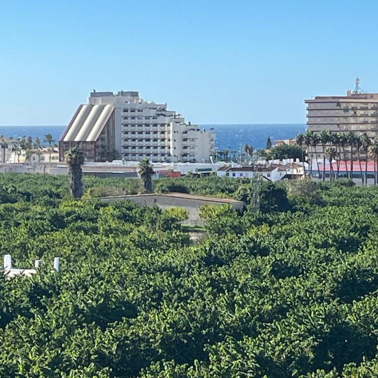 Apartamento en Almuñécar con piscina comunitaria - Apartamento de 3 dormitorios - 10