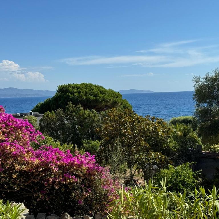 Ajaccio appartement 4 couchages, climatisé a 150m de la plage route des sanguinaires, parking privé - Apartment mit 2 Schlafzimmern - 8