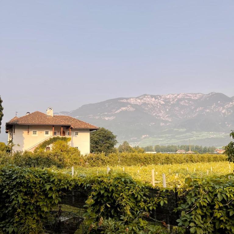 Goldenhof - Suite - 2
