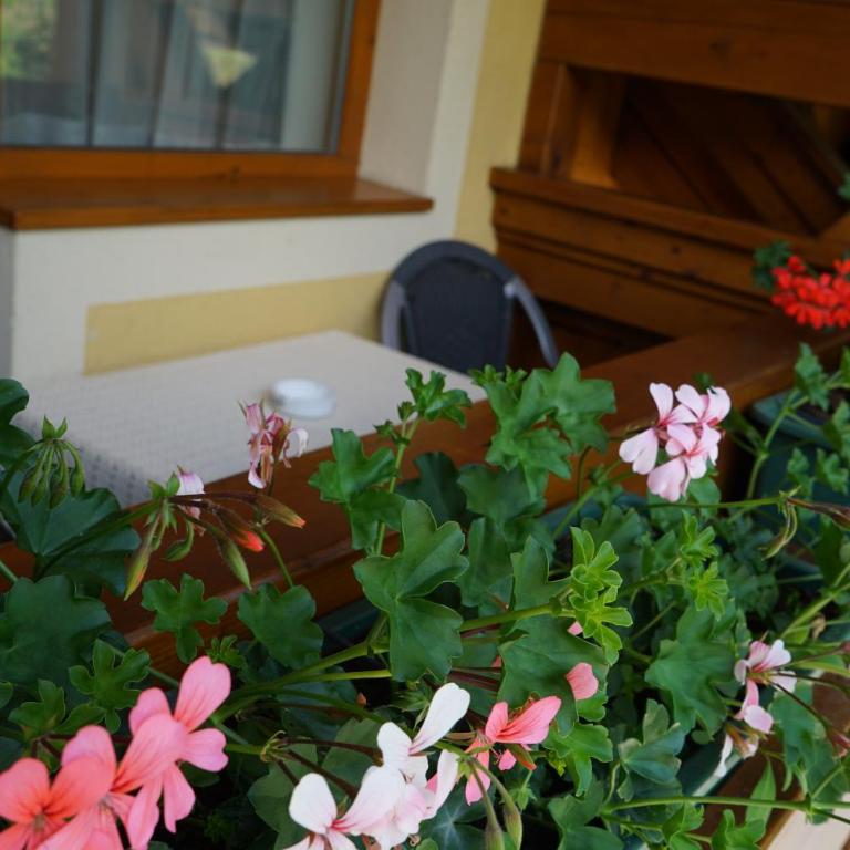 Pension Besser - Studio-Apartment mit Balkon - 2