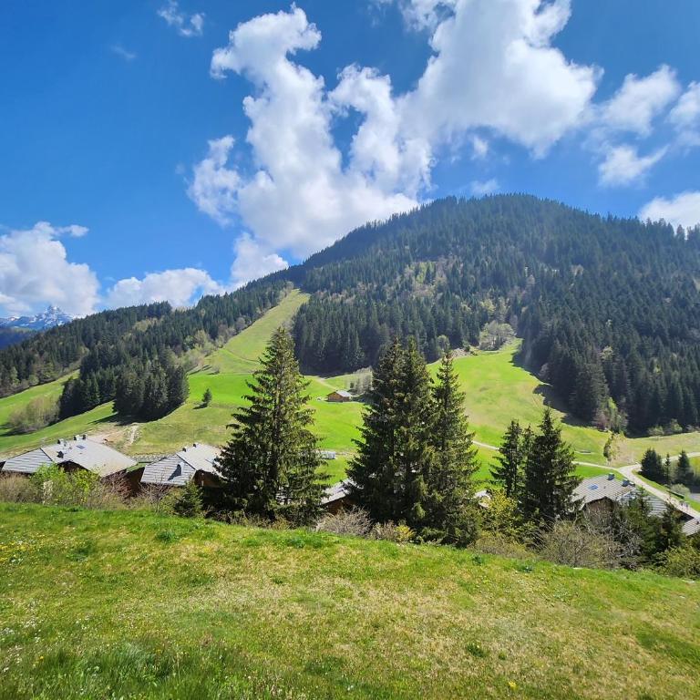2-bed appt 20 mins from Morzine Portes du Soleil French Alps - Appartement 2 Chambres - 38