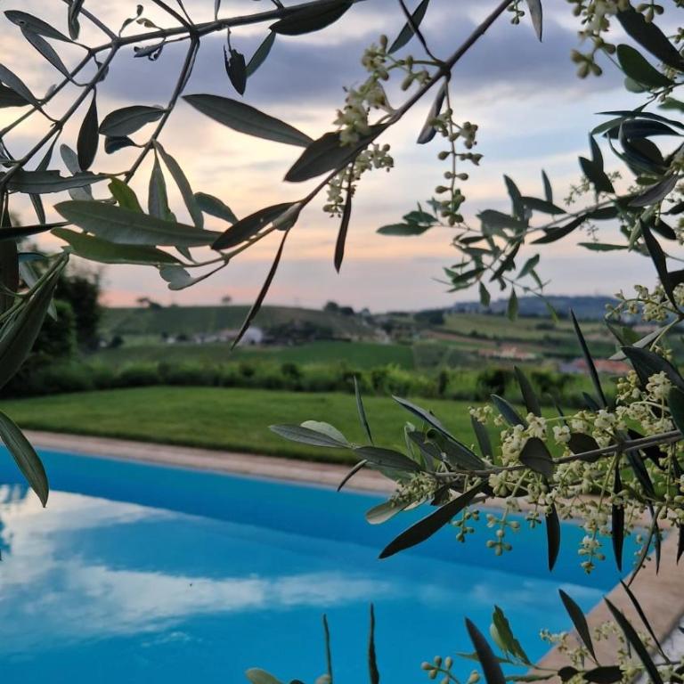 La Dolce Villa - Villa - 83