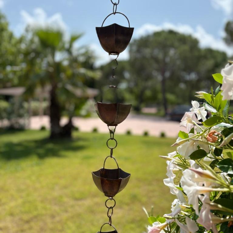 La Dolce Villa - Villa - 84