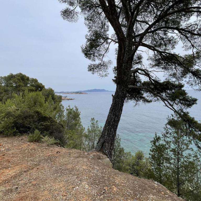 Appartement pour 4 avec jardin proche plage - Appartement - 13