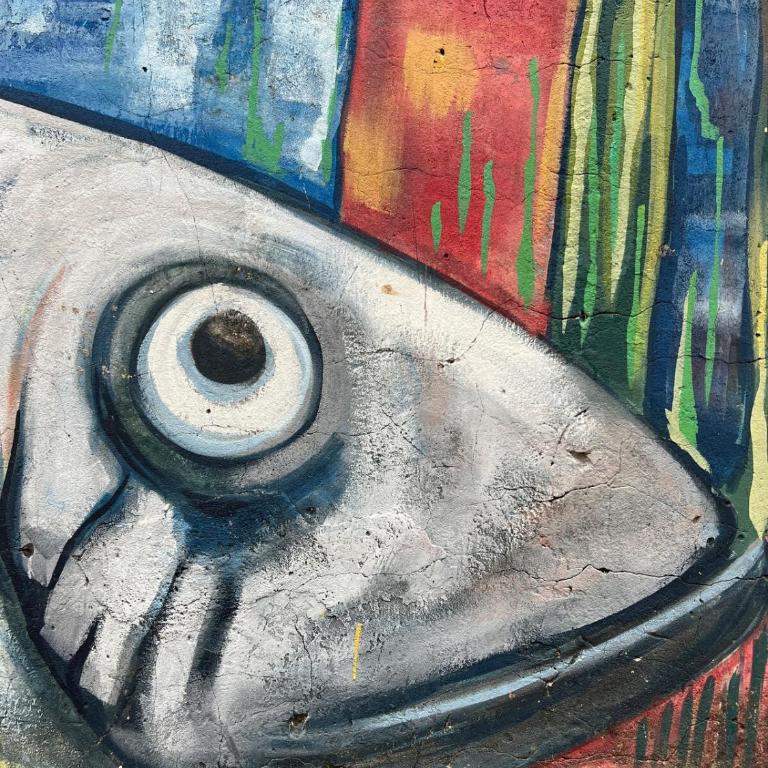 Casa Pez Loft - Casa con 1 dormitorio - 7