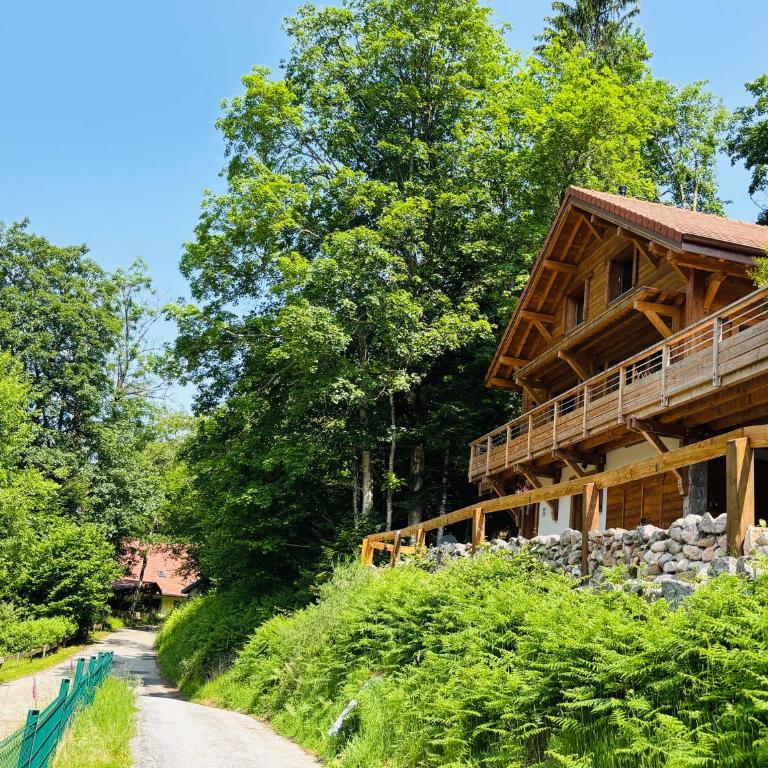 Chalet Les Cimes - Sauna - Jacuzzi - Chalet - 46
