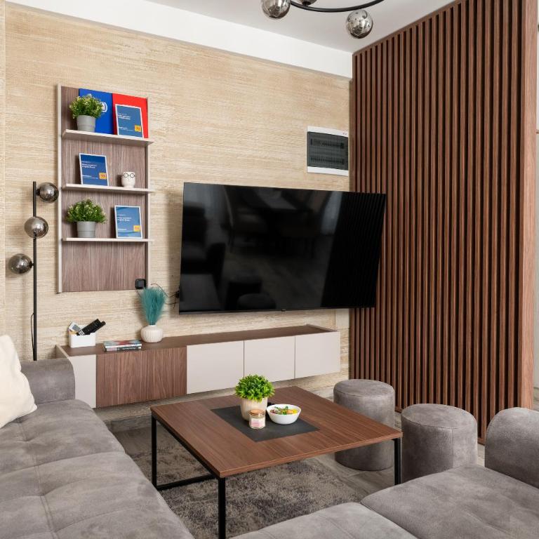 Vision apartmani Vrnjačka Banja - Apartman sa Terasom - 3