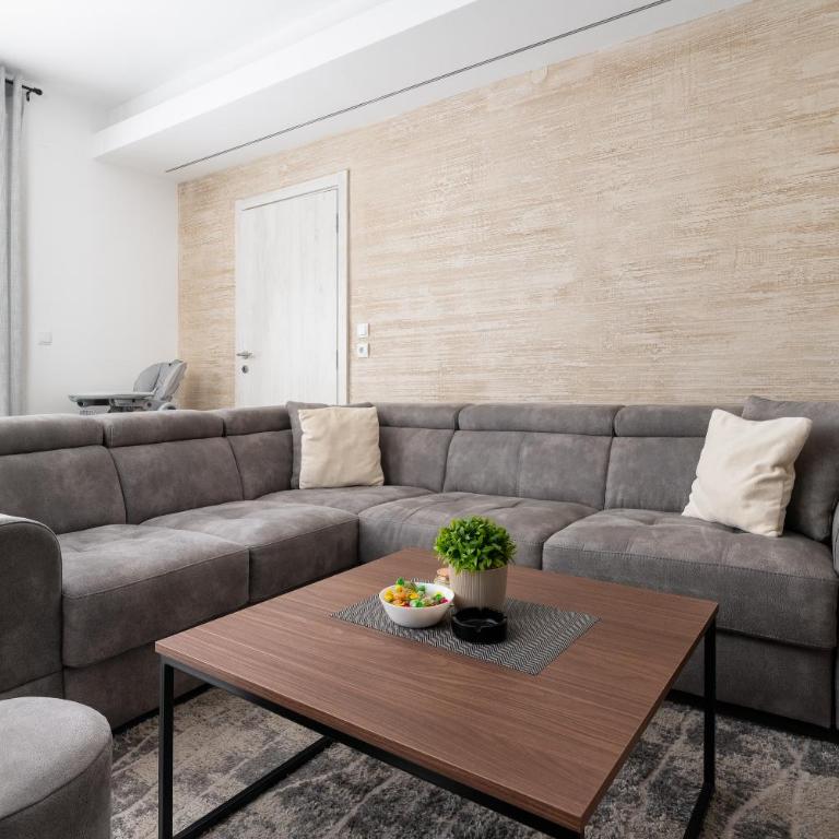 Vision apartmani Vrnjačka Banja - Apartment mit Terrasse - 10