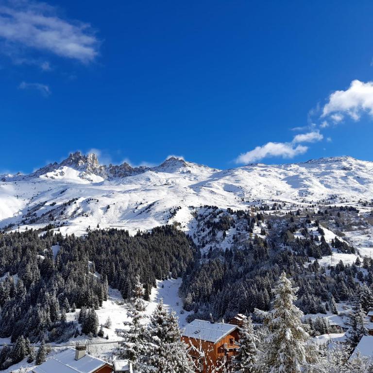 Magnifique 4 pièces de luxe pour 6 personnes - vue exceptionnelle - idéal pour une famille ou des amis - proche des pistes - Méribel Mottaret - Apartment mit 3 Schlafzimmern und Bergblick - 26