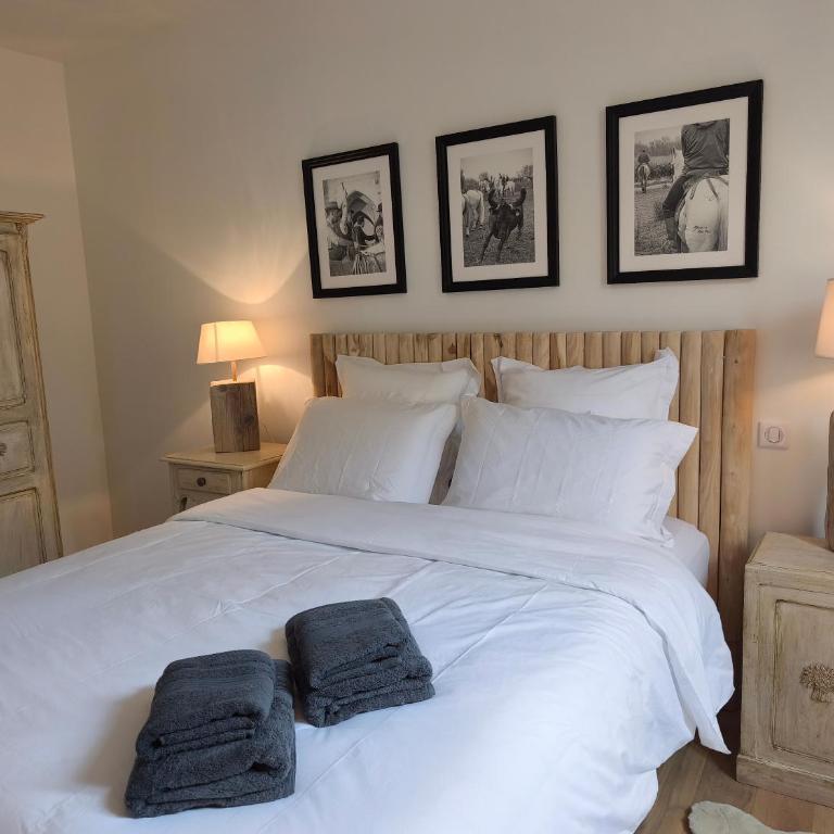 VILLA ADOYA Chambre d'hôtes Aigues-Mortes intra muros au calme climatisation réversible PISCINE WIFI ascenseur PARKING gratuit - Chambre Double - Vue sur Piscine - 6